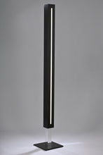 Charger l'image dans la galerie, PALMERA